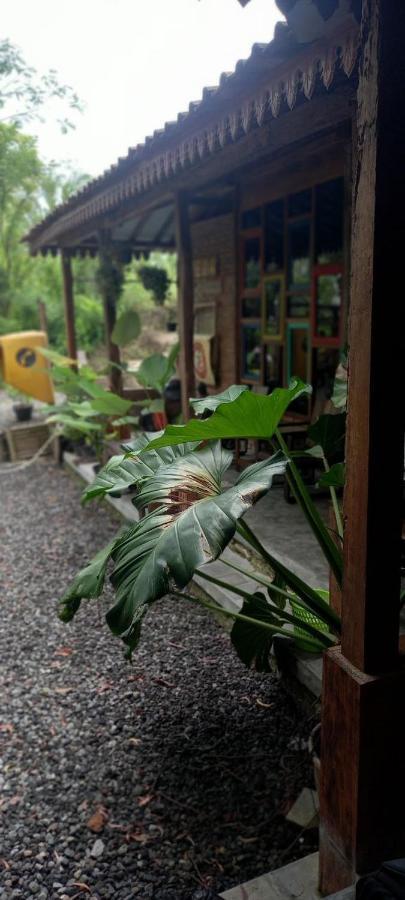 Omah Cantrik, Ethnic Java House With Nature View Jarakan Екстер'єр фото